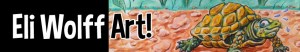 eli wolff