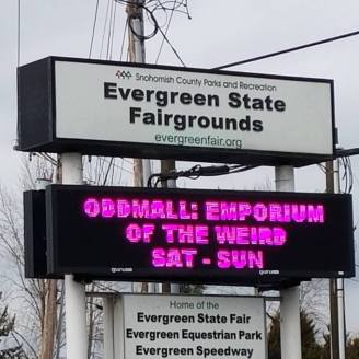 26734264_954145551399861_6238522911875972763_n